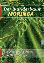 Der Wunderbaum MORINGA